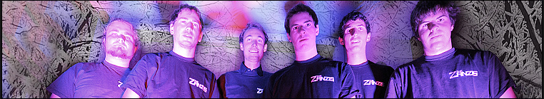 The Zanzis